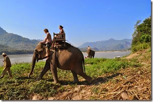 Laos Luang Prabang Elephant camp 140201_0085
