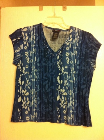 [Blue%2520Flowers%255B4%255D.jpg]