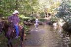stream crossing on trail 496A