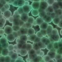 seamless backgrounds Microbiology24 seamless backgrounds Microbiology24