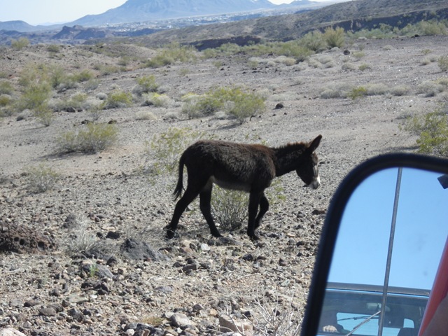 [IMGP13172.jpg]