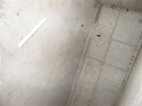 DSCF0980.JPG