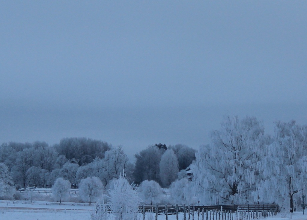 [IMG_2901%255B3%255D.jpg]