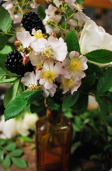 DSC_0184 poppies and posies