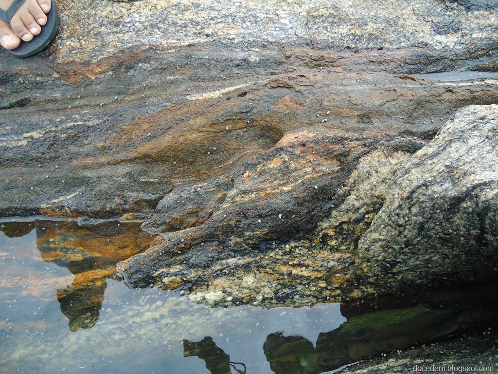 [DSC09758%255B7%255D.jpg]