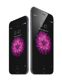 IPhone6 34R SpGry iPhone6Plus 34L SpGry flwr