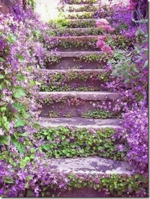 purple flowers stairs