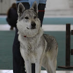 KV CSV 20130222_0121.jpg