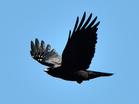 DSC_7727.jpg