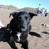 Rodeo Beach and Preschool