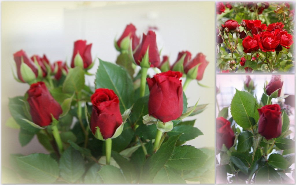 [4-laatste%2520decoraties%2520en%2520rozen2%255B8%255D.jpg]