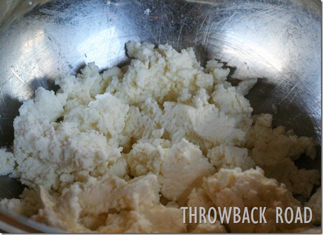 farmers cheese 032