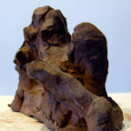 CIMG2124.JPG