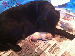 First born!