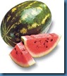 watermelon watermelon