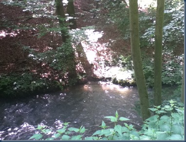 lichtblicke 039