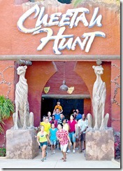 Cheetah Hunt 3