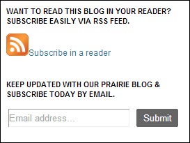 Pinke Post RSS feed