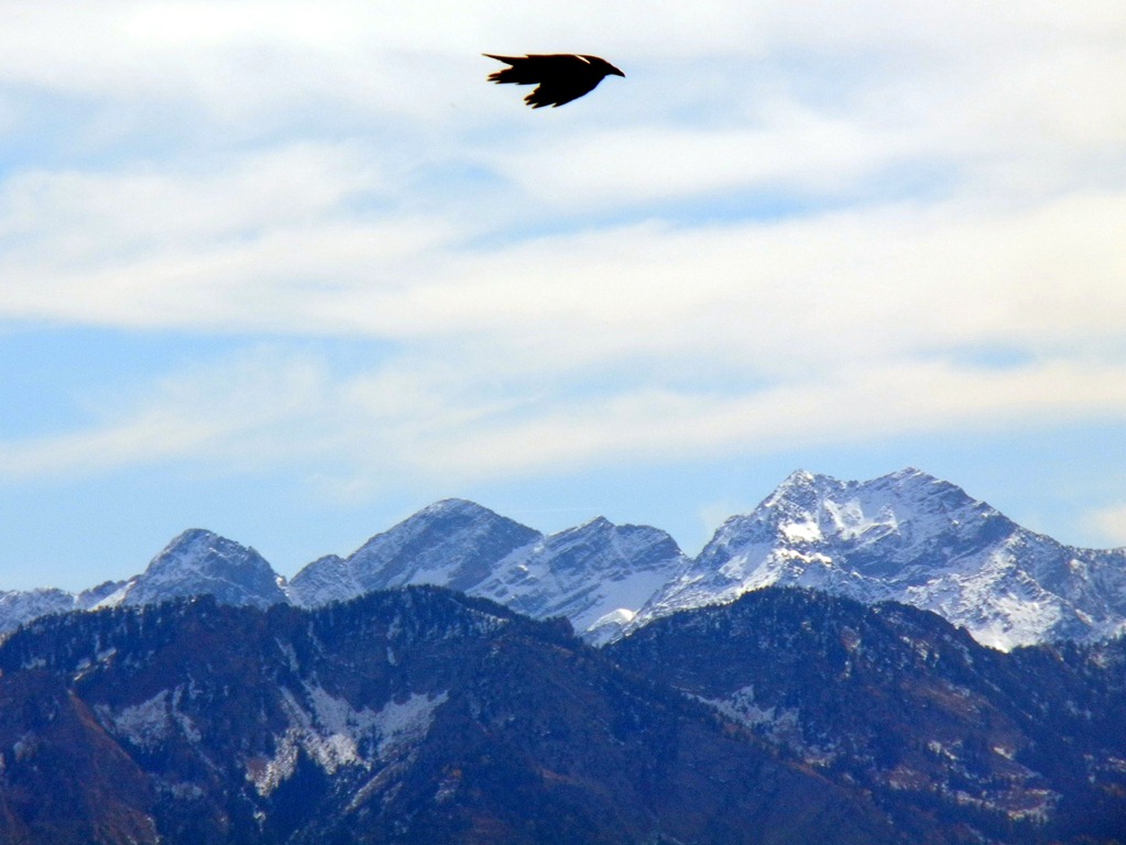 [DSCN3599%255B3%255D.jpg]