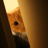 IMG_5667.JPG