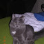 Reneseme at 7 months, I really hate that flash...