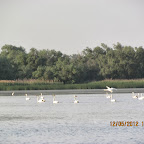 IMG_7899.JPG