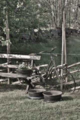 IMG_5024