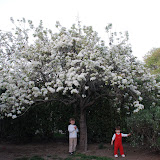 Flowers, Park, and Hiking