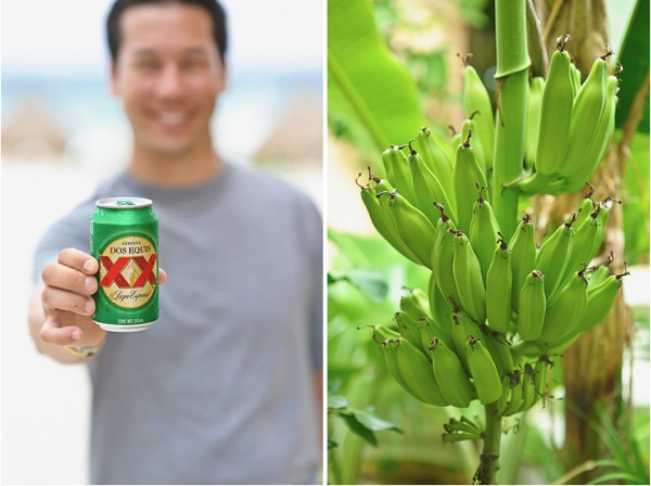 Justin beer and banana tree.jpg Justin beer and banana tree