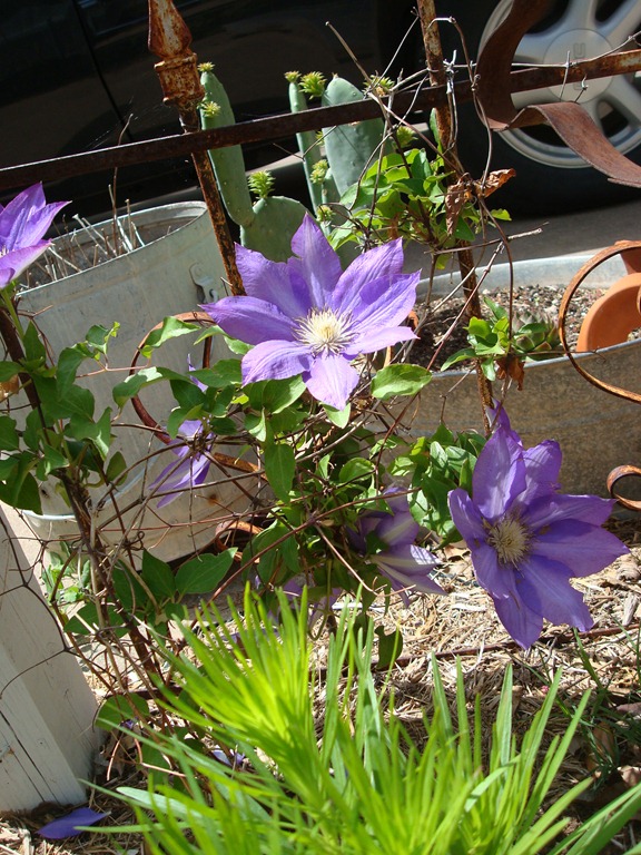 [spring%25202013%2520045%255B3%255D.jpg]