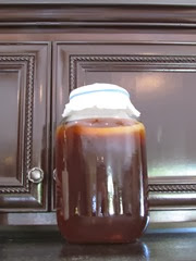 kombucha7 kombucha7