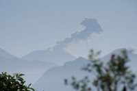 IMG_7410.jpg