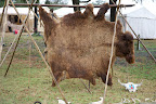 RCS_8348.jpg