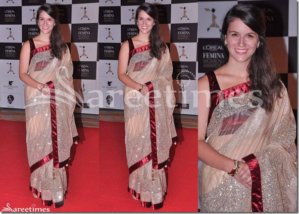 Tan_Embroidery_Georgette_Saree