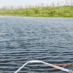 DSCN8203.JPG