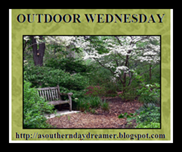 Outdoor-Wednesday-logo_thumb1_thumb1[1]