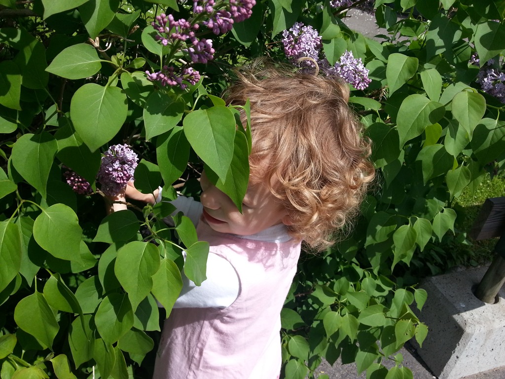 [2013-05-28%252012.49.08%255B15%255D.jpg]