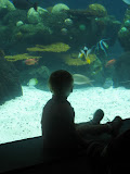 IMG_8709.JPG