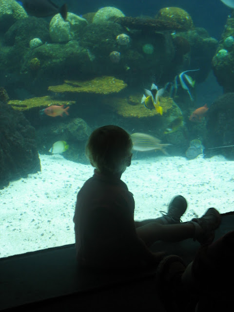IMG_8709.JPG