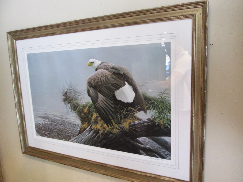 Robert Bateman Eagle Print