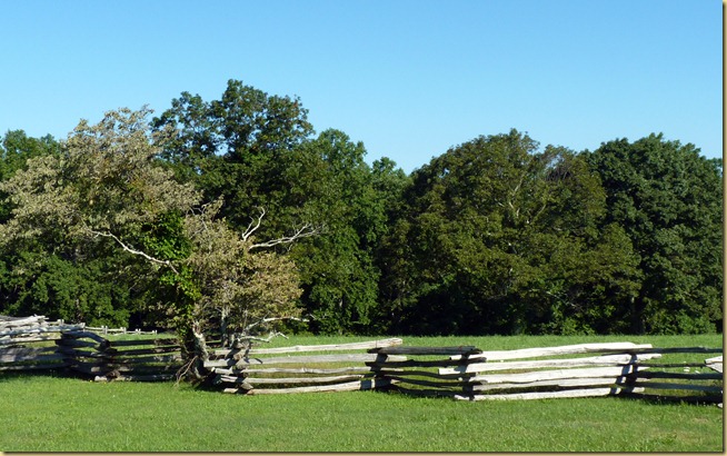 2012-07-29 - Blue Ridge Parkway - MP 155-199 (21)