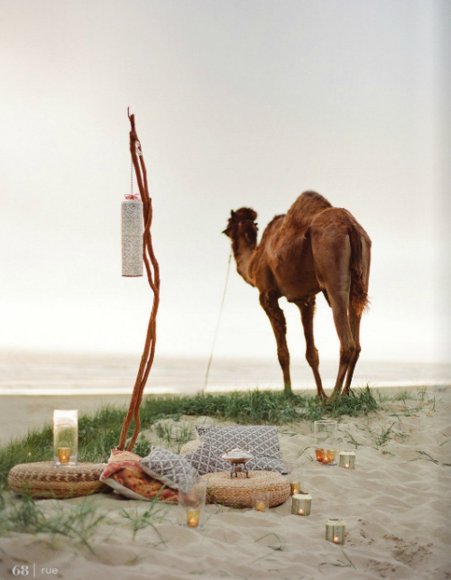 [camel%2520on%2520beach%2520rue%2520magazine%255B3%255D.png]