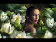Girl Among The Lilies