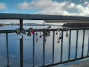 Love Locks on the Bridge