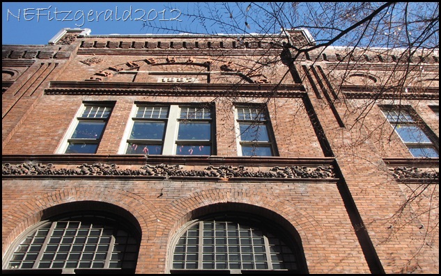 IMG_0343 IMG_0343