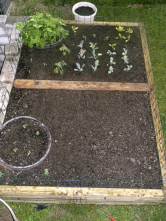 [Aerial%2520View%2520of%2520Garden%255B4%255D.jpg]