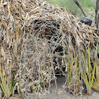 Hütte aus Agavenblättern und Zweigen © Foto: Marco Penzel | Outback Africa