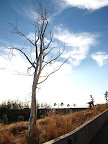P9031454.JPG
