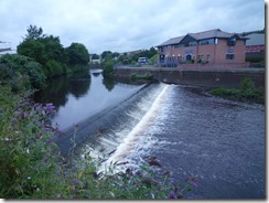 P1110006
