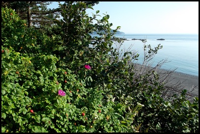 Liberty Point hike Campobello 069